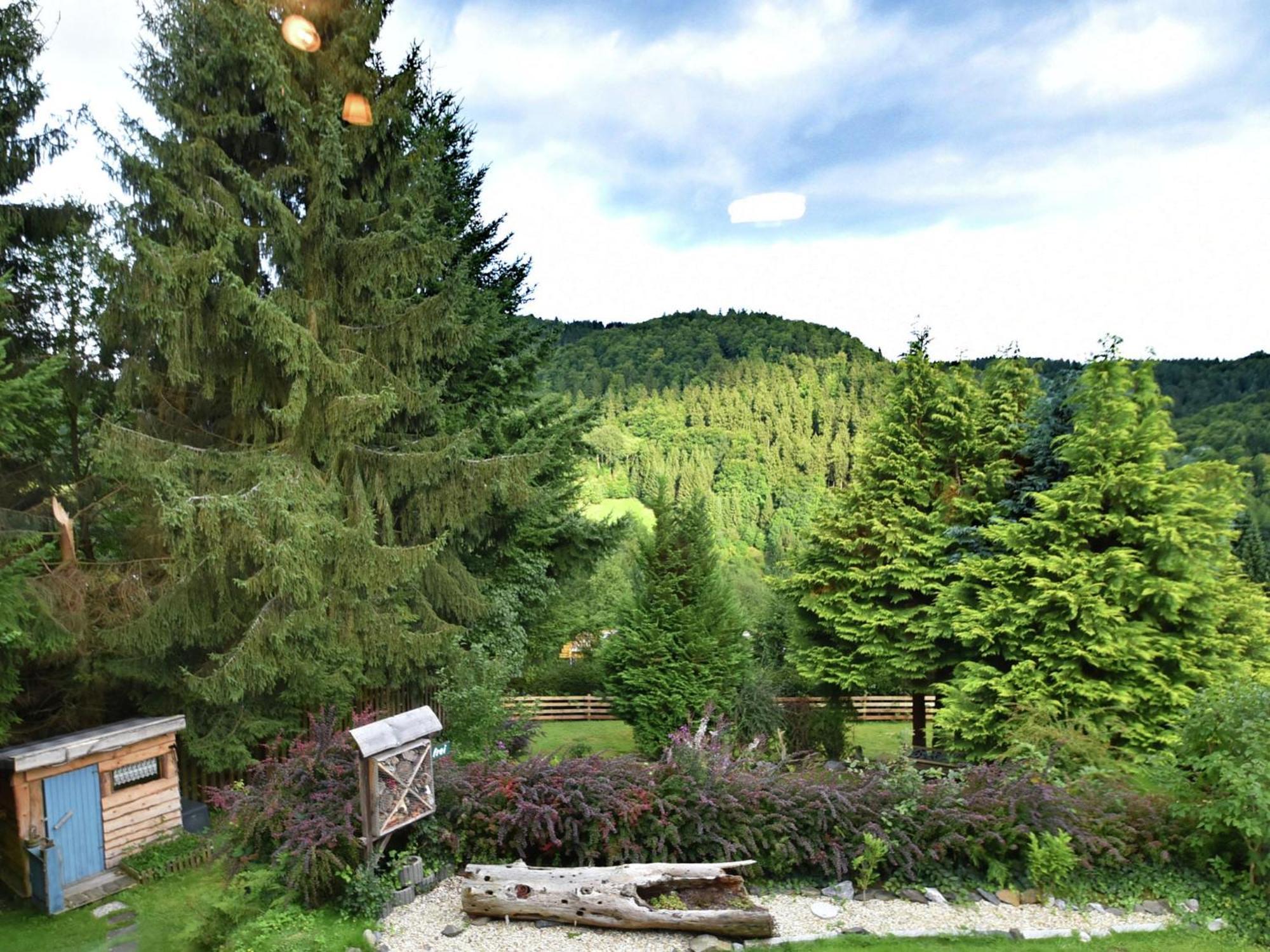 Holiday Home In Wieda With Sauna Bagian luar foto